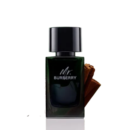 Mr Burberry Burberry