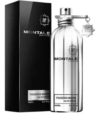Fougeres Marine Montale